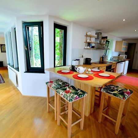 Green Haven Roofgarden Penthouse In Central Area Wien Eksteriør bilde